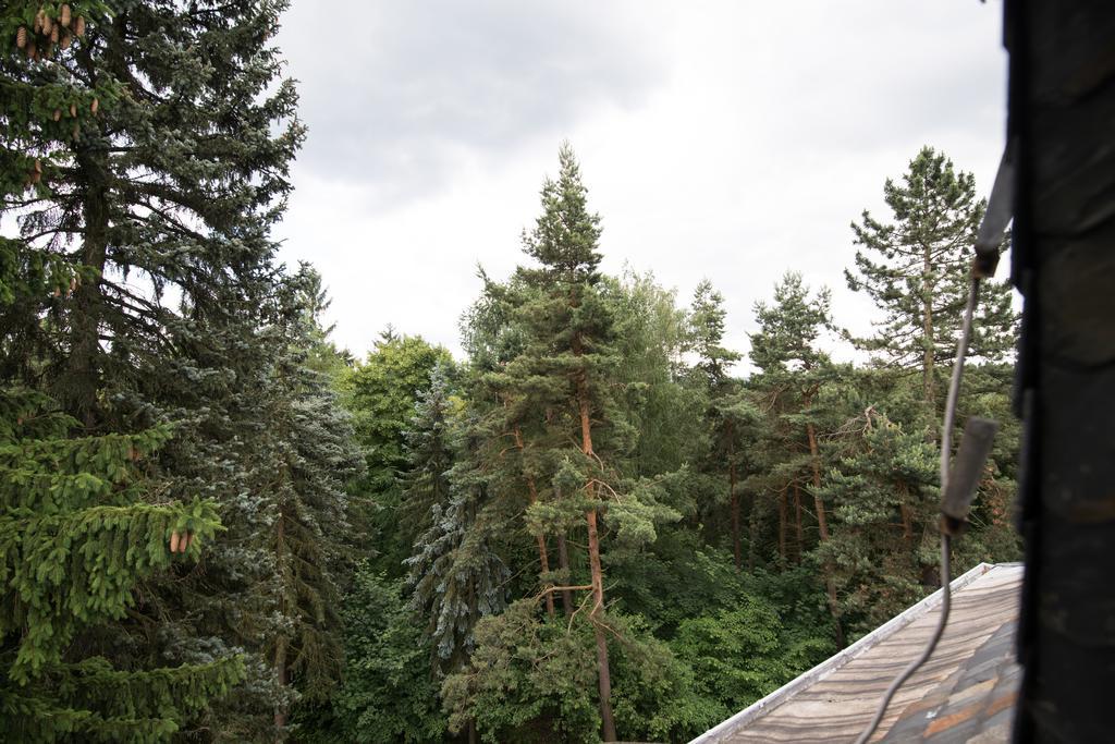 Villa Augustusberg Petrovice  Kültér fotó